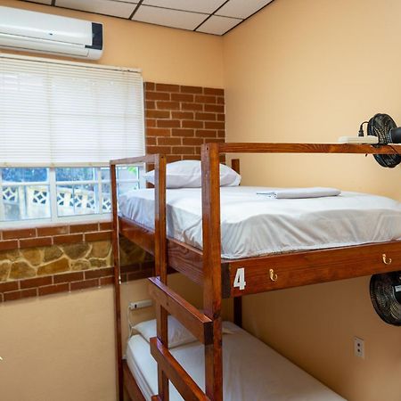 Yellow Belly Backpackers San Ignacio Zimmer foto